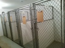 kennels1